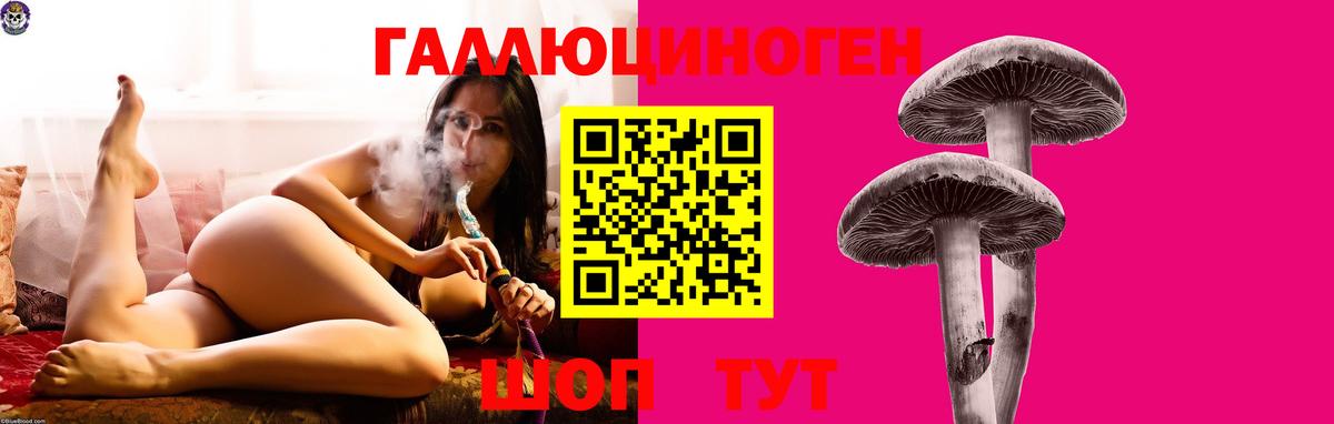 Нефтекамск  Галлюциногенные грибы Psilocybe  Вход с VPN 